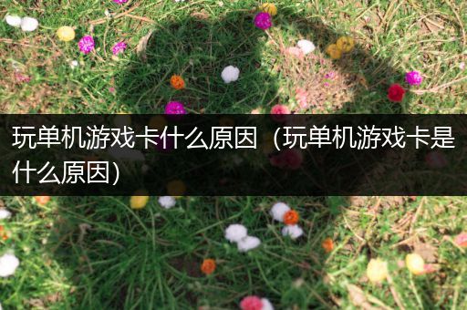 玩单机游戏卡什么原因（玩单机游戏卡是什么原因）