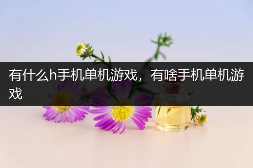 有什么h手机单机游戏，有啥手机单机游戏