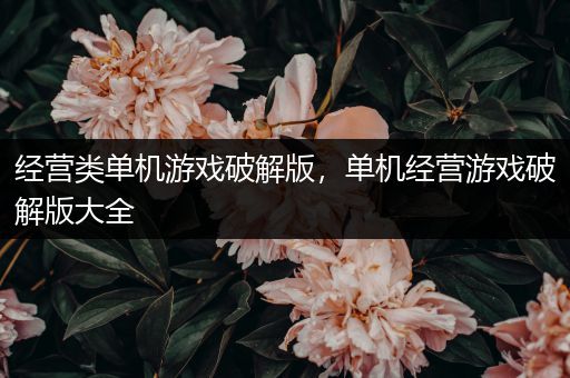 经营类单机游戏破解版，单机经营游戏破解版大全