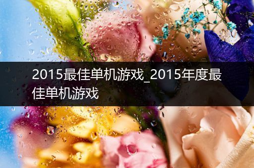 2015最佳单机游戏_2015年度最佳单机游戏