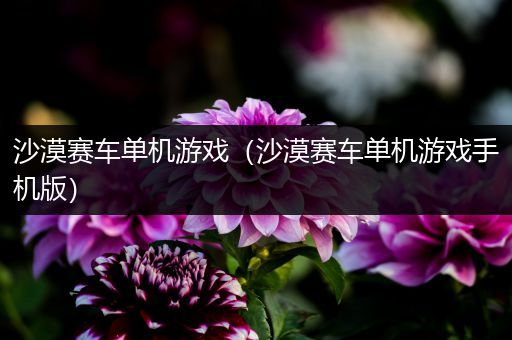 沙漠赛车单机游戏（沙漠赛车单机游戏手机版）