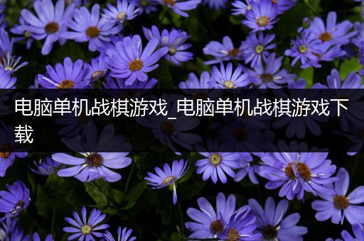 电脑单机战棋游戏_电脑单机战棋游戏下载
