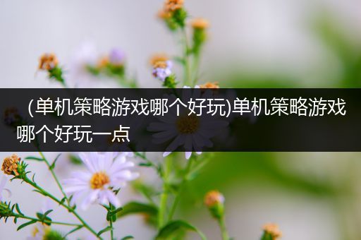 （单机策略游戏哪个好玩)单机策略游戏哪个好玩一点
