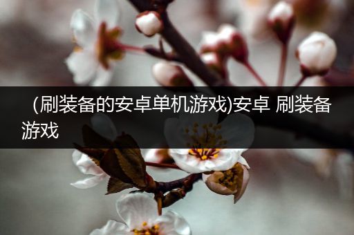 （刷装备的安卓单机游戏)安卓 刷装备游戏