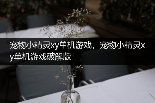 宠物小精灵xy单机游戏，宠物小精灵xy单机游戏破解版