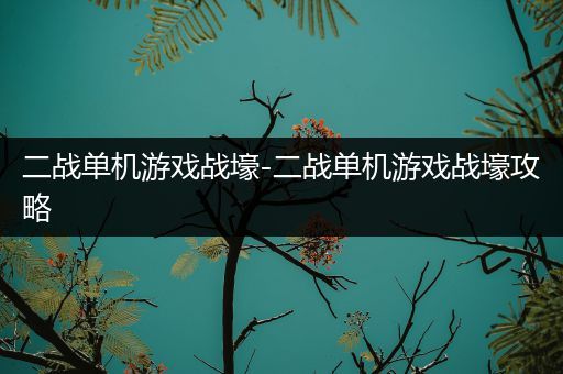 二战单机游戏战壕-二战单机游戏战壕攻略