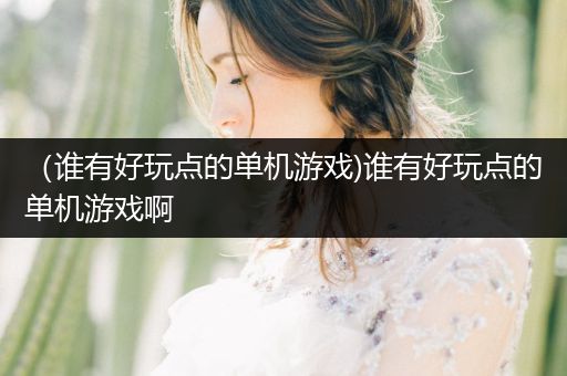 （谁有好玩点的单机游戏)谁有好玩点的单机游戏啊