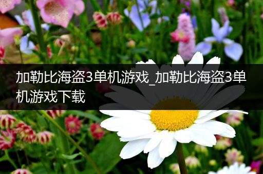 加勒比海盗3单机游戏_加勒比海盗3单机游戏下载