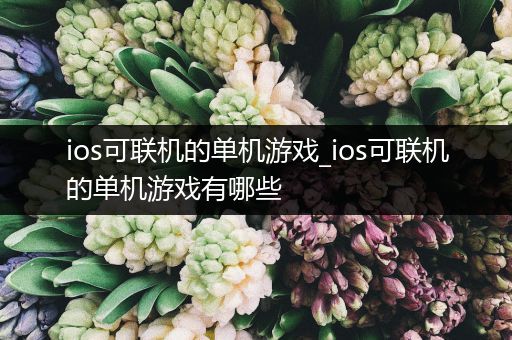 ios可联机的单机游戏_ios可联机的单机游戏有哪些