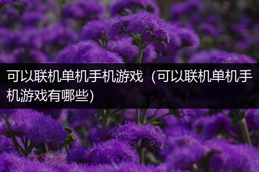 可以联机单机手机游戏（可以联机单机手机游戏有哪些）