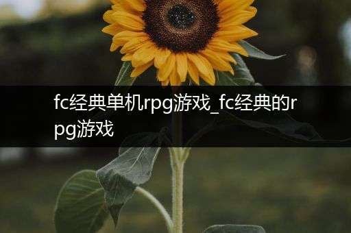 fc经典单机rpg游戏_fc经典的rpg游戏