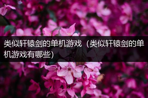 类似轩辕剑的单机游戏（类似轩辕剑的单机游戏有哪些）