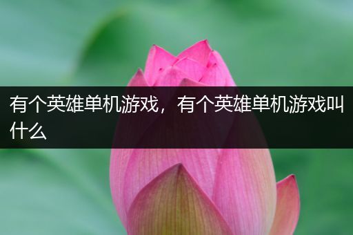 有个英雄单机游戏，有个英雄单机游戏叫什么