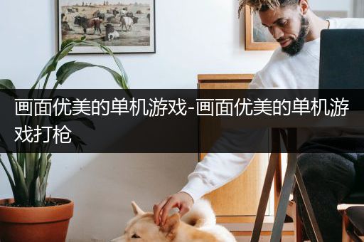 画面优美的单机游戏-画面优美的单机游戏打枪