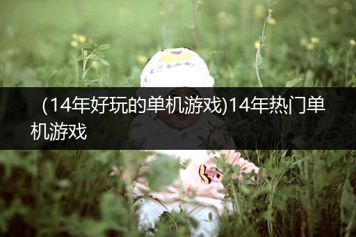 （14年好玩的单机游戏)14年热门单机游戏