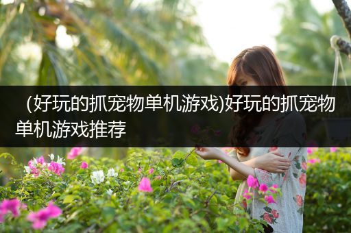 （好玩的抓宠物单机游戏)好玩的抓宠物单机游戏推荐