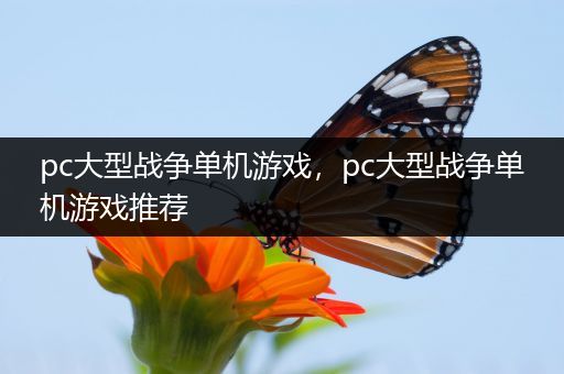 pc大型战争单机游戏，pc大型战争单机游戏推荐