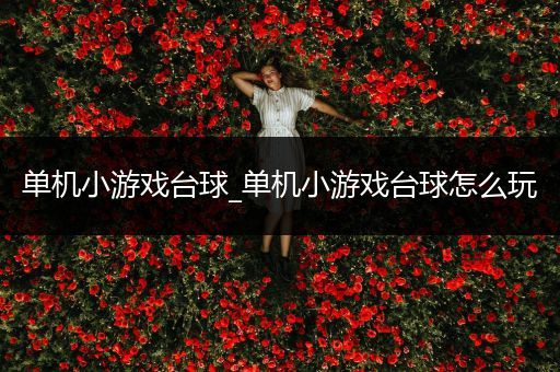 单机小游戏台球_单机小游戏台球怎么玩