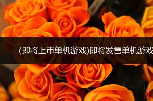 （即将上市单机游戏)即将发售单机游戏