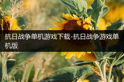 抗日战争单机游戏下载-抗日战争游戏单机版