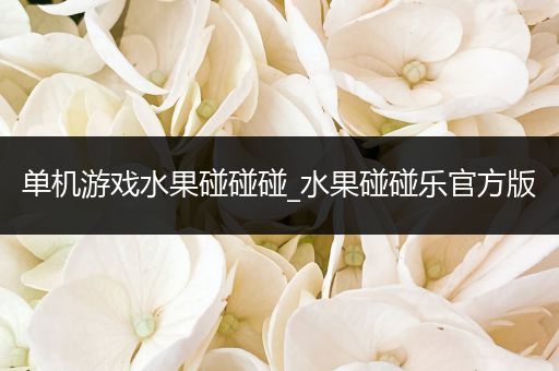 单机游戏水果碰碰碰_水果碰碰乐官方版