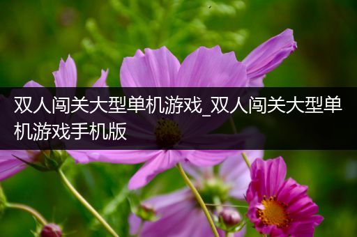 双人闯关大型单机游戏_双人闯关大型单机游戏手机版