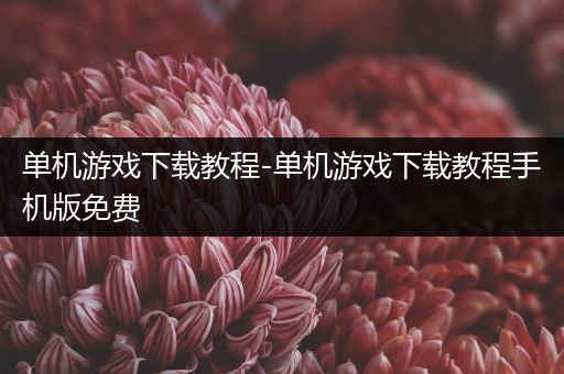 单机游戏下载教程-单机游戏下载教程手机版免费