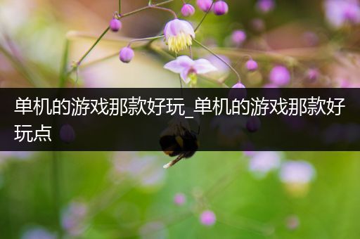 单机的游戏那款好玩_单机的游戏那款好玩点