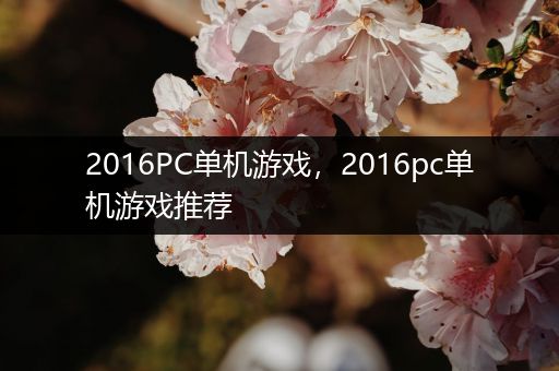 2016PC单机游戏，2016pc单机游戏推荐