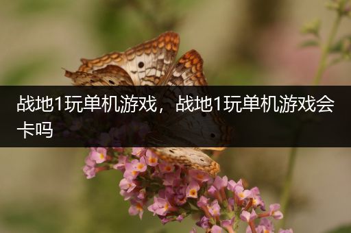 战地1玩单机游戏，战地1玩单机游戏会卡吗