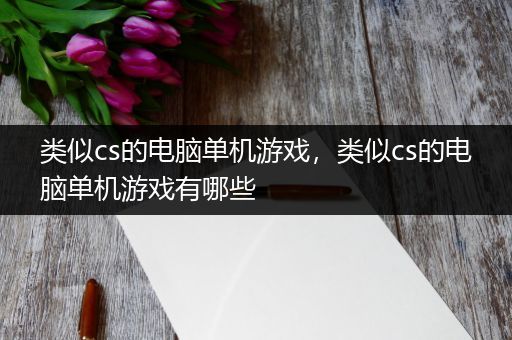 类似cs的电脑单机游戏，类似cs的电脑单机游戏有哪些