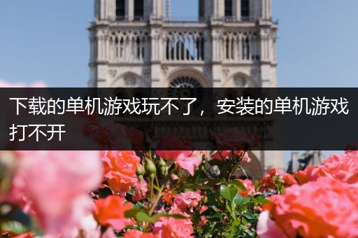 下载的单机游戏玩不了，安装的单机游戏打不开