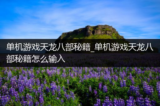 单机游戏天龙八部秘籍_单机游戏天龙八部秘籍怎么输入