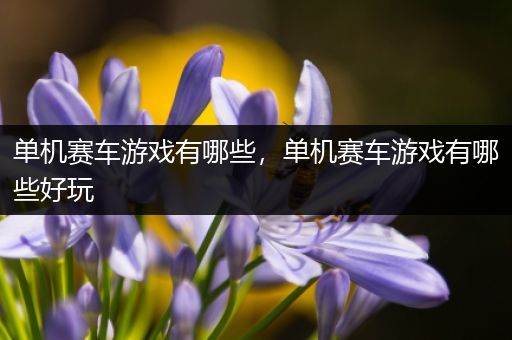 单机赛车游戏有哪些，单机赛车游戏有哪些好玩