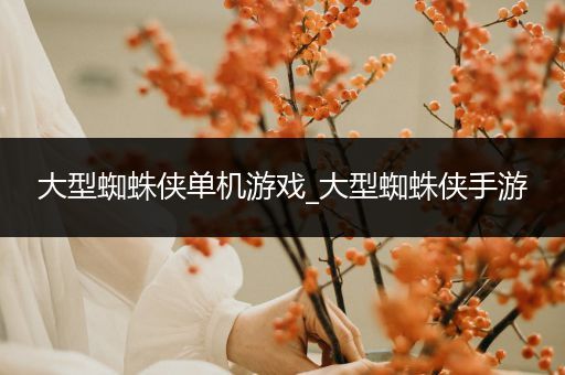 大型蜘蛛侠单机游戏_大型蜘蛛侠手游