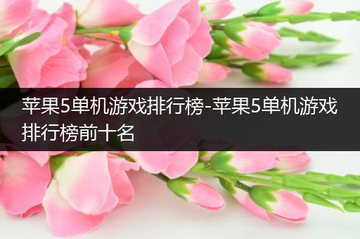 苹果5单机游戏排行榜-苹果5单机游戏排行榜前十名