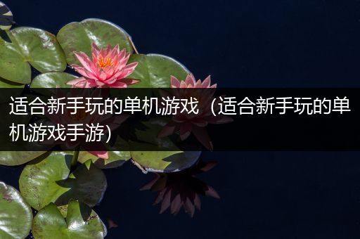 适合新手玩的单机游戏（适合新手玩的单机游戏手游）