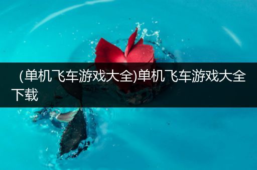 （单机飞车游戏大全)单机飞车游戏大全下载