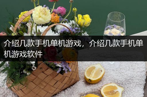介绍几款手机单机游戏，介绍几款手机单机游戏软件