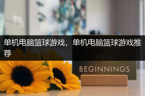 单机电脑篮球游戏，单机电脑篮球游戏推荐