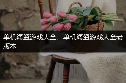 单机海盗游戏大全，单机海盗游戏大全老版本