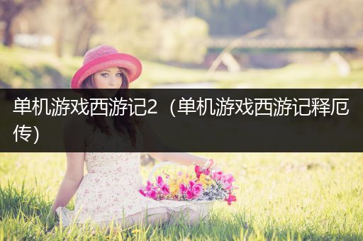 单机游戏西游记2（单机游戏西游记释厄传）