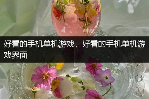 好看的手机单机游戏，好看的手机单机游戏界面