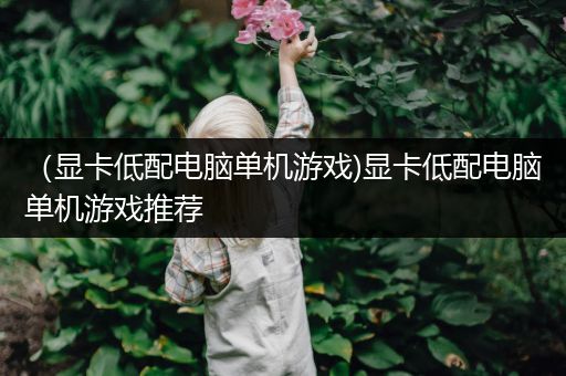 （显卡低配电脑单机游戏)显卡低配电脑单机游戏推荐