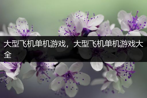 大型飞机单机游戏，大型飞机单机游戏大全