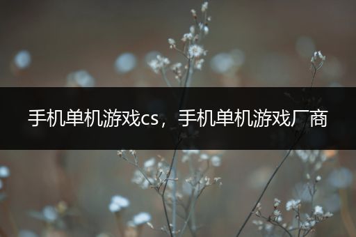 手机单机游戏cs，手机单机游戏厂商