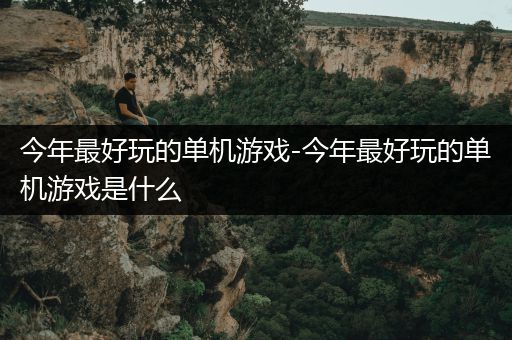 今年最好玩的单机游戏-今年最好玩的单机游戏是什么