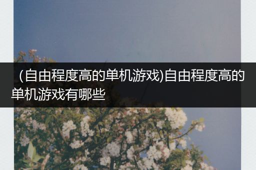 （自由程度高的单机游戏)自由程度高的单机游戏有哪些