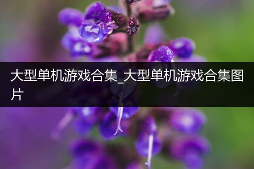 大型单机游戏合集_大型单机游戏合集图片