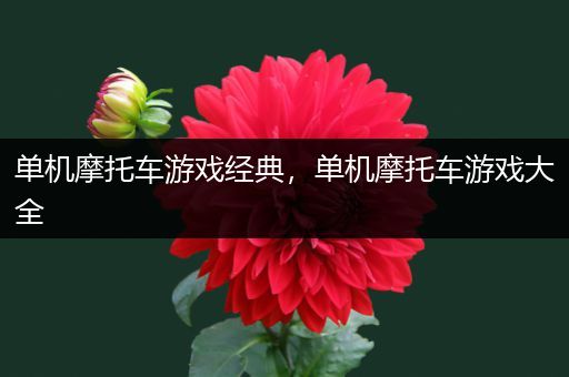 单机摩托车游戏经典，单机摩托车游戏大全